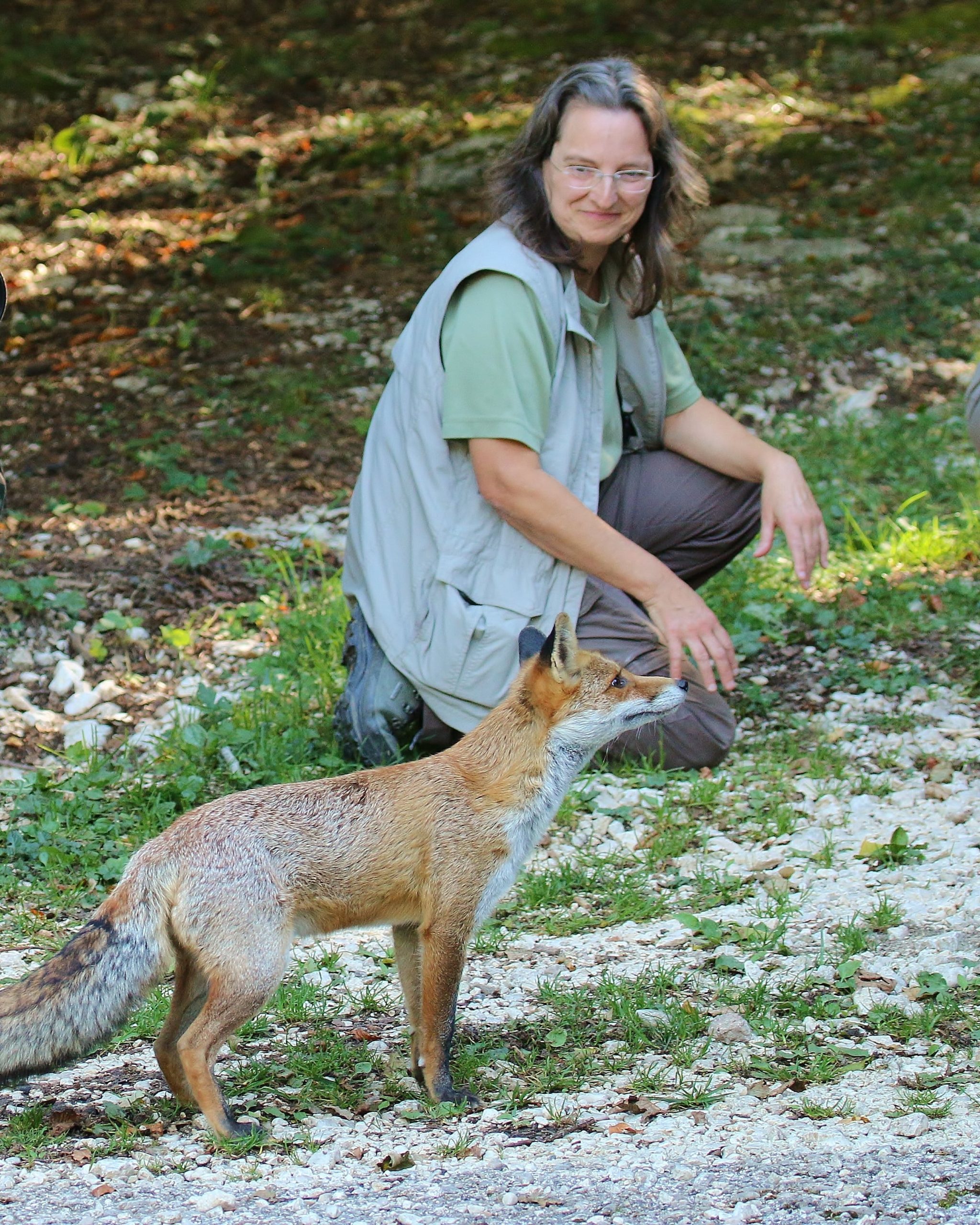 hélène delebarre formatrice communication animale